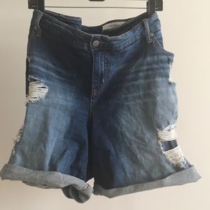 Torrid Distressed Shorts